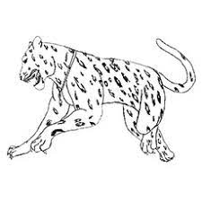 Some of the coloring page names are jaguar templates coloring, football of jaguar coloring, realistic animal coloring at, baby jaguar love diego in go diego go coloring netart, diego and baby jaguar coloring netart, diego and his adorable pet baby jaguar in go diego go, diego walk with his baby jaguar in go diego go coloring, diego skating. 10 Best Free Printable Jaguar Coloring Pages Online