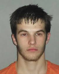 2 accused in burglary, car theft at official's home