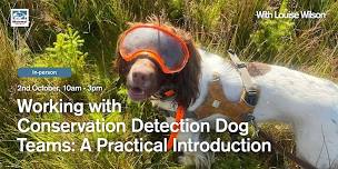 Working with Conservation Detection Dog Teams: A Practical Introduction