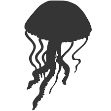 Jellyfish Silhouette Images Pictures Becuo Silhouette Images Animal Silhouette Silhouette Template