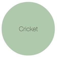 Cricket Earthborn Paints Green Colour Palette Cricket Colour Story