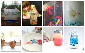 Keep a tissue dry by creating a structure to protect the tissue. Preschool Stem Activities The Stem Laboratory