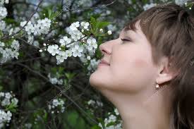 Appreciate life Stock Photos, Royalty Free Appreciate life Images