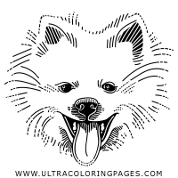 Furry coloring page by jailin cubero jaji art pinterest brilliant. Furry Coloring Pages Ultra Coloring Pages