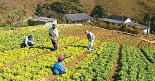 Tradicional 
Utiliza los sistemas típicos de un lugar, que han configurado la cultura del mismo, en periodos más o menos prol