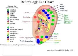 41 Prototypal Foot Reflexology Chart Stomach