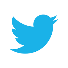 Image result for twitter logo