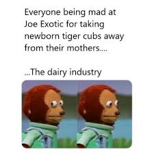 Go Vegan Memes For Earth On Instagram Tag Someone Who Needs To See This Veganpower In 2020 Vegan Memes Funny Relatable Memes Stupid Funny Memes