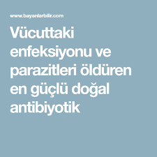 Vucuttaki Enfeksiyonu Ve Parazitleri Olduren En Guclu Dogal Antibiyotik Dogal Dogal Receteler Dogal Tedaviler