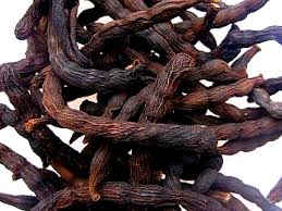 Image result for Xylopia aethiopica