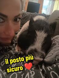 Mamma Pig E Il Signor Coniglio
