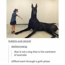 32 Random Memes To Rescue You From Your Crippling Boredom Animal Memes Silly Animals Funny Animal Memes