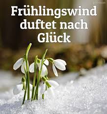 Der Fruhling Ist Die Beste Zeit Des Jahres Etwas Neues Zu Beginnen Quotelia
