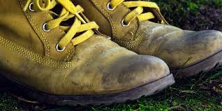 Ruyada Yilan Gormek Kulvar Haber