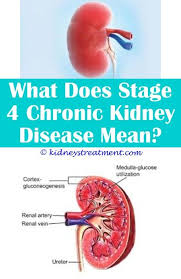 Kidney Disease Awareness Truths Kidney Disease Recipes Kidney Disease Symptoms Kidney