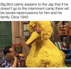 Pin On Bird Memes