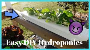 Hydroponic systems are lifesavers for those who are at odds with conventional gardening. Hydroponic Vertical Vegetable Garden Guide Seasonal Preferences