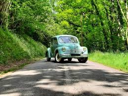 Image result for Borneo Green 1960 Renault