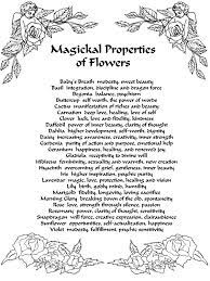 Magical Properties Of Flowers Wiccan Spell Book Magickal Herbs Book Of Shadow