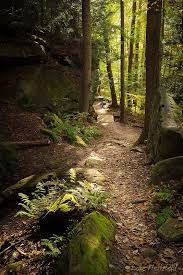 Ledges Cuyahoga Valley Np Cuyahoga Valley Scenery Cuyahoga Valley National Park