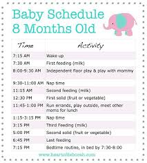 Baby Schedule Baby Baby Schedule 8 Month Old Baby New