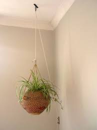 Dean Edmonds Hanging Plants Diy Hanging Plants Indoor Hanging Plants
