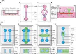Recently, i've been seeing a few questions about 110/120v and 12v wiring questions. Frontiers The Importance Of Mechanical Forces For In Vitro Endothelial Cell Biology Physiology