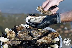 Viviersdebanastere Huitres Ostreiculteur Www Viviers Banastere Com Ostreiculteur Risotto Fruits De Mer Pates Aux Fruits De Mer
