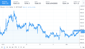 Bitcoin Btc Price To Hit 10000 Amidst Bearish Uncertainty