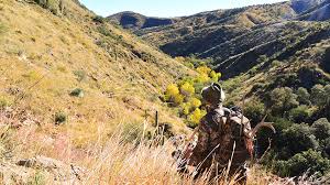 You can now buy discount hunting gear, hunting supplies & equipment, and hunting accessories from do my own pest control with free shipping and expert advice! American Hunter Diy Backcountry Hunting Tactics And Gear