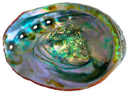 Image result for mother of pearl