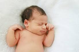 Swim, Eat, Repeat: Layla Eve Bowman