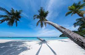 Lang tengah island is located about 40 km north east of kuala terengganu (22.5 km from tanjung merang). Summer Bay Resort Lang Tengah Island Bewertungen Fotos Preisvergleich Pulau Lang Tengah Malaysia Tripadvisor