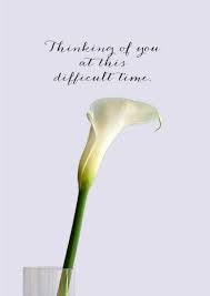 Calla Lily Is A Sympathy Card Featuring A White Calla Lily Thinking Of You Quotes For Him Thinking Of You Quotes Condolence Card