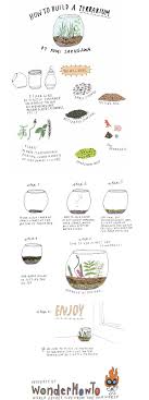 How To Build Your Own Terrarium Build A Terrarium Terrarium Diy Succulent Terrarium