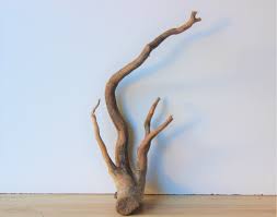 Treibholz Schwemmholz Driftwood 1 Wurzel Garten Etsy Diy Vintage Gartendekoration Schwemmholz