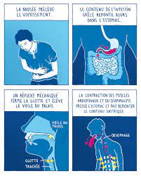 Liste des 10 causes possibles et des bons gestes avec le dr marie baron, médecin urgentiste en réanimation. Pourquoi Vomit On Quand On A Trop Bu Maad Digital