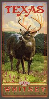 Lake Whitney State Park Poster By Texas Poster Texas Parks State Parks Vintage Travel Posters