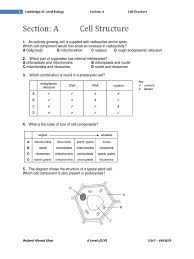 Maybe you would like to learn more about one of these? A Cell Structure Pdf Cell Nucleus Cell Biology