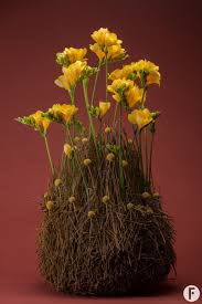 Yellow Freesia Mountain Pim Van Den Akker Has Created A Freestylefreesia In Which He Uses A Towering Construction Made Of Wha Freesia Flowers Freesia Flowers