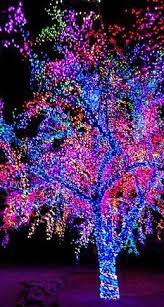 Wrapping Trees With Christmas Lights Christmas Lights Etc Christmas Lights Outdoor Christmas Christmas