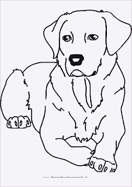Ausmalbilder Tiere Gratis Zum Ausdrucken Ausmalbilder Tiere Ausmalbilder Malvorlagen Tiere