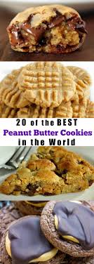 20 Of The Best Peanut Butter Cookies In The World Best Peanut Butter Cookies Peanut Butter Recipes Peanut Butter Desserts