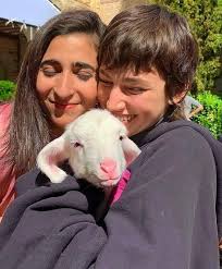 Will there be a season 2 for Old Money?