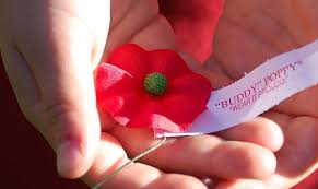 Image result for Poppy Red 1995 AAV