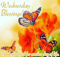 Below are the 12 wednesday quotes. Happy Wednesday Images Good Morning Wednesday Quotes Messages