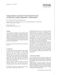 Image result for Rhynchosia caribaea