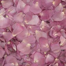 Lavender Simply Marvelous Preserved Freeze Dried Rose Petals Dried Rose Petals Freeze Dried Rose Petals Rose Petals Wedding