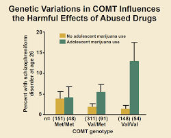 Is There A Link Between Marijuana Use And Psychiatric