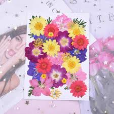 Make heavenly floral gifts for yourself and loved ones with these dried flowers and herbs. Papermaking Milisten 30pcs Real Dried Pressed Flowers Pink Purple Larkspur Daisy Natural Pressed Flowers For Scrapbooking Diy Candle Resin Jewelry Pendant Crafts Making Arts Crafts Sewing Ortopediasaojose Com Br